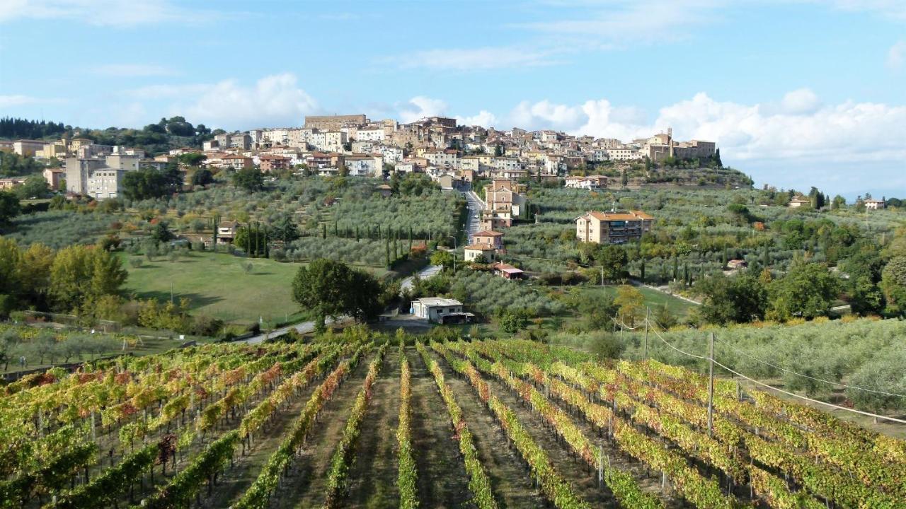 Agriturismo La Pietriccia Chianciano Terme Kültér fotó
