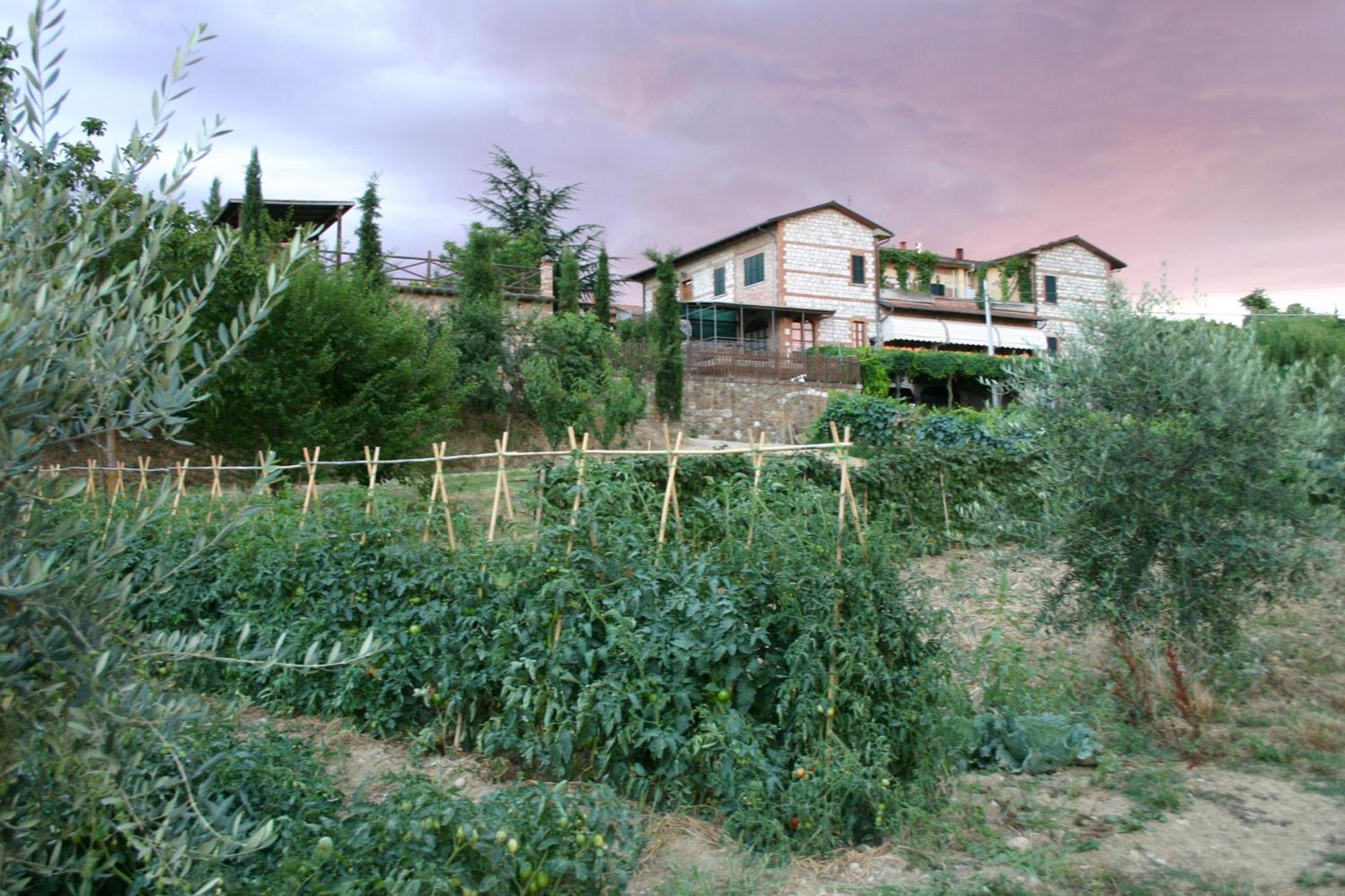 Agriturismo La Pietriccia Chianciano Terme Kültér fotó