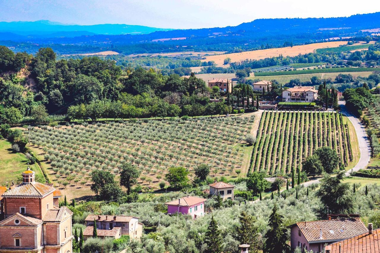 Agriturismo La Pietriccia Chianciano Terme Kültér fotó