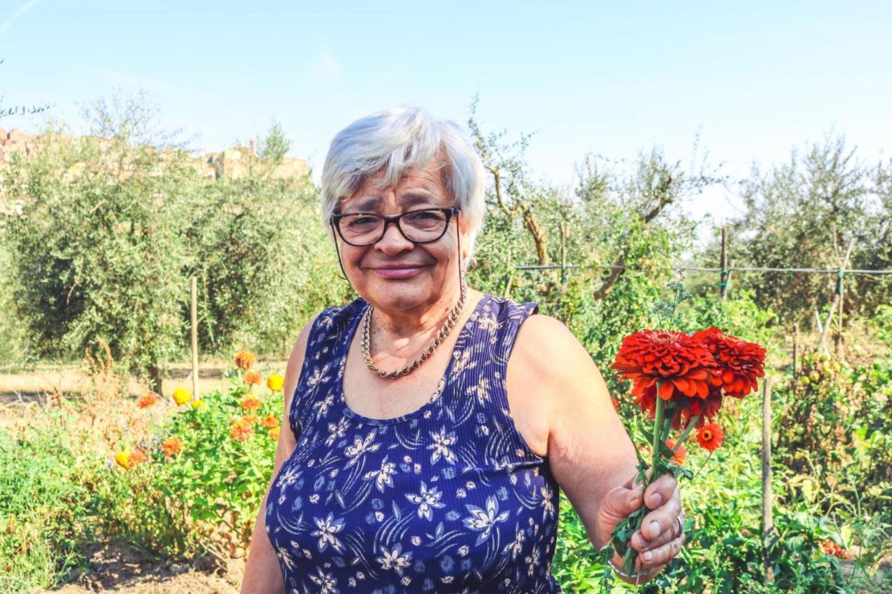 Agriturismo La Pietriccia Chianciano Terme Kültér fotó